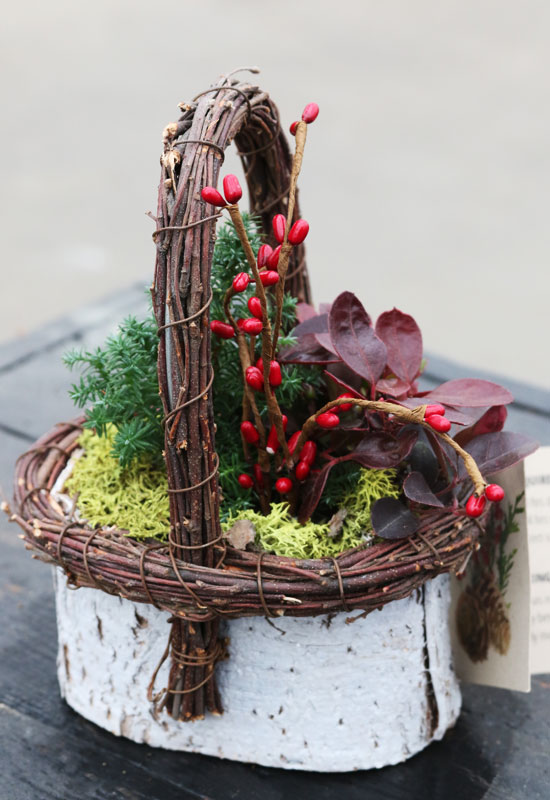 mini christmas evergreen bough and berry planter