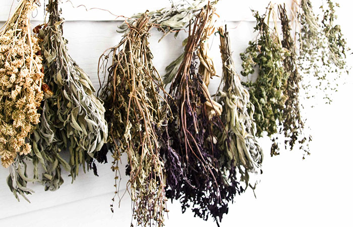 dried herbs hanging