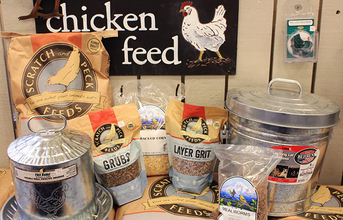 chicken feed and supplies