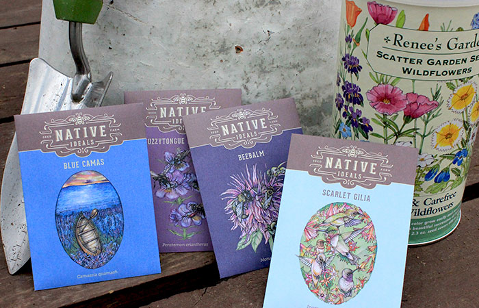 native wildflower seed packets