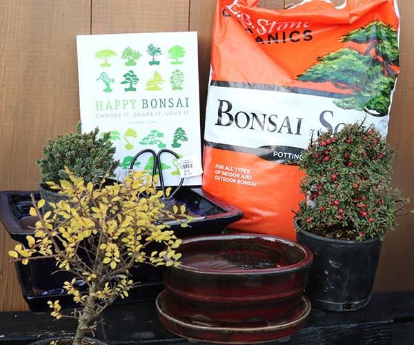 bonsai supplies
