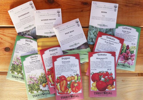 Wide Variety of Locally Sourced Bulbs & Seeds - Sky Nursery