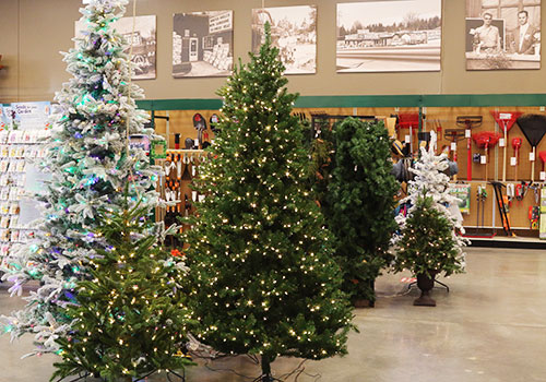 holiday_artificialTrees_store_gi_500x350_5L9A8030