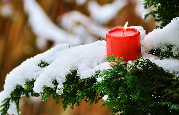 candle on a snowy cedar branch