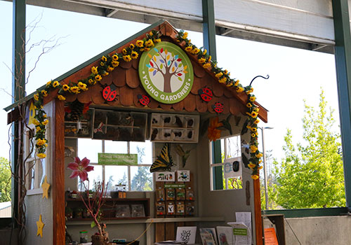 young gardeners shed