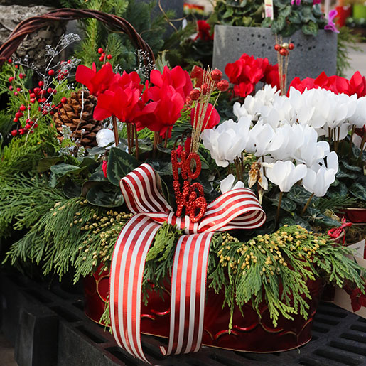 holidayDecor_cd_arrangement_5L9A8019