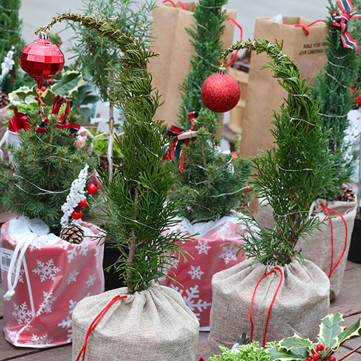 holidayLiveGifts_grinchTrees_5L9A8301