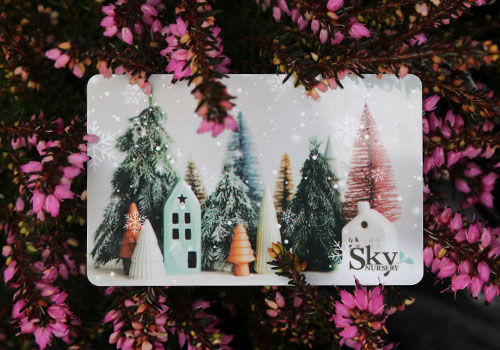 gi_giftCard_snowyVillage_5L9A9854