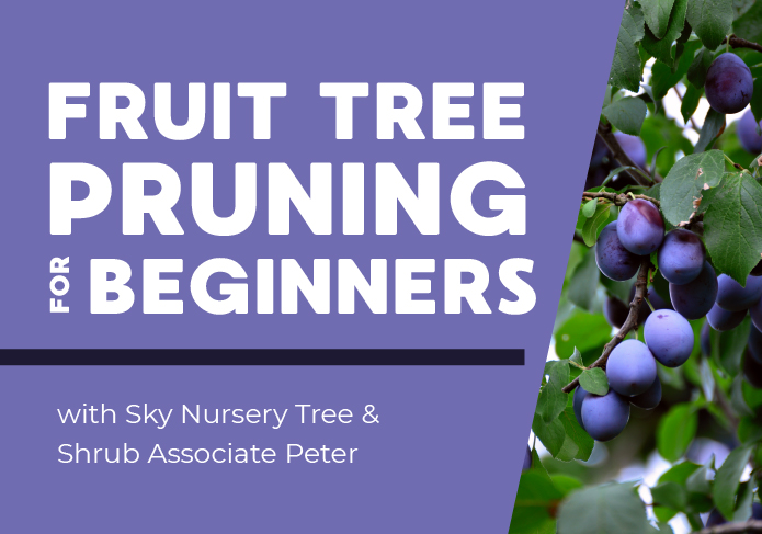 ec_fruitTreePruningBeginners